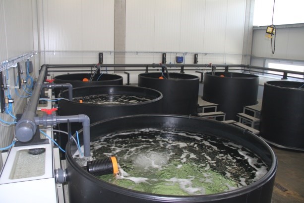 Aller Aqua Research recirculated saltwater tanks