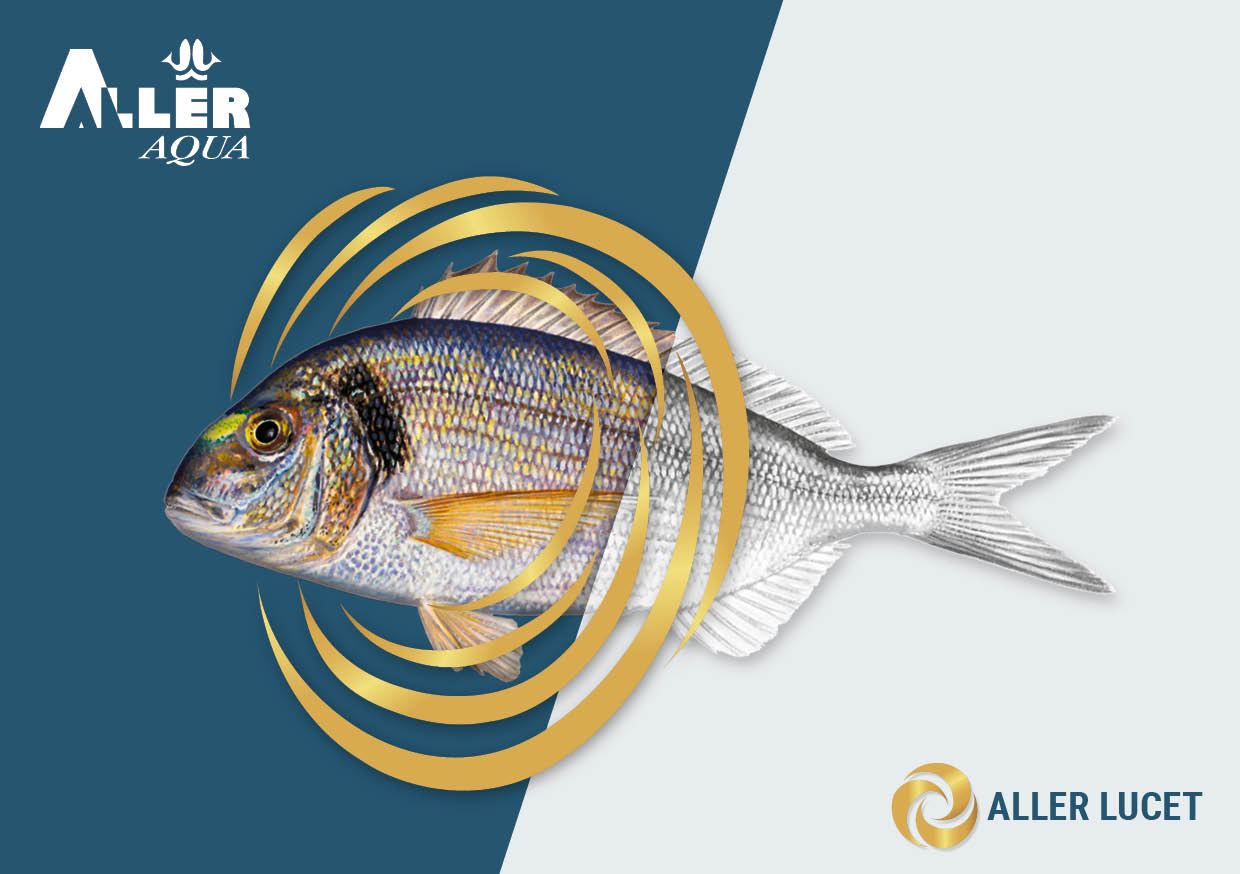 Aller Lucet - finisher feed for sea bream